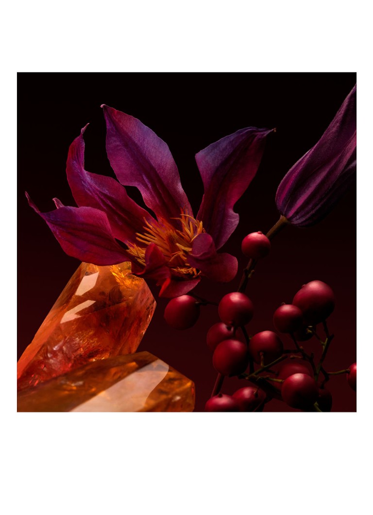 Perfumy HUGO BOSS BOSS The Elixir Intense