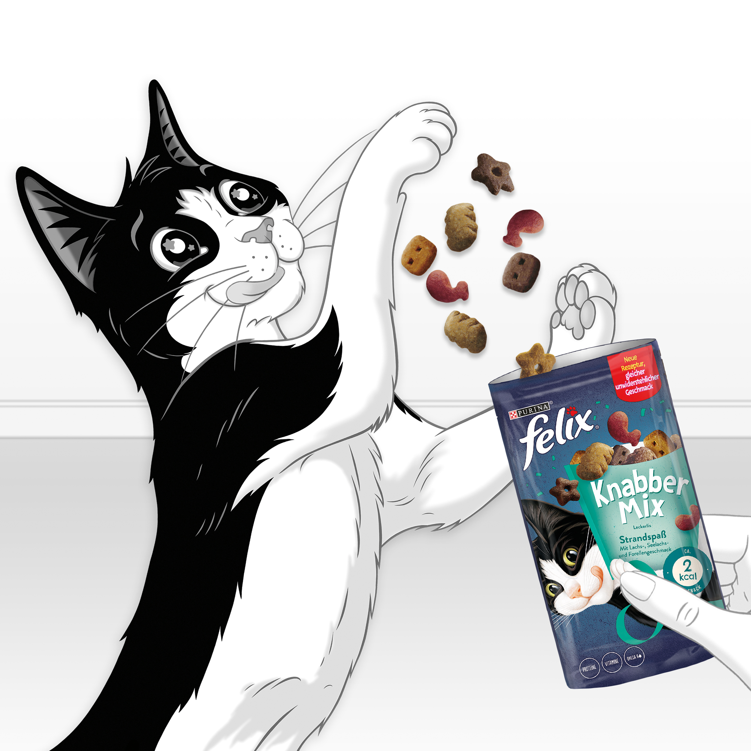 Felix Snacks Felix KnabberMix 8x60g Strandspaß
