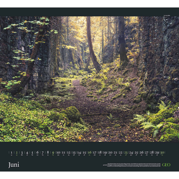 GEO KLASSIKER: TRAUMPFADE 2024 - WAND-KALENDER - Kalender