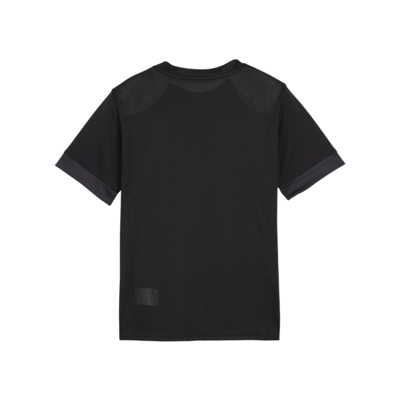 PUMA teamGOAL Matchday Trikot Kids Schwarz Weiss F03