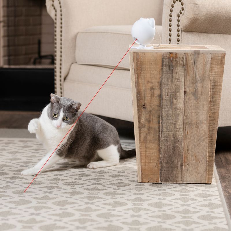 PetSafe Dancing Dot Laser Katzenspielzeug