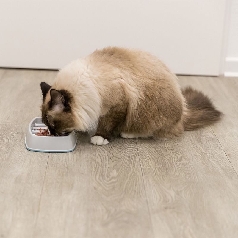 Trixie Slow Feeding Napf zu TOP-Preisen