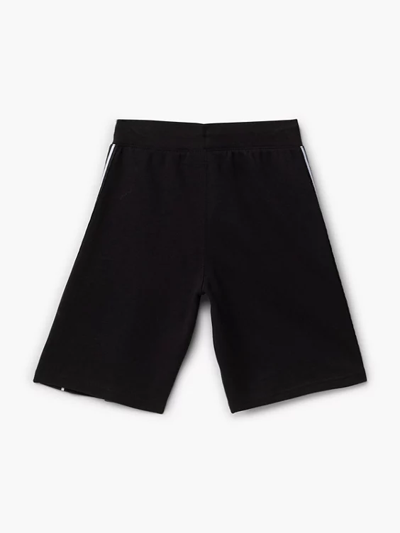 Champion Shorts