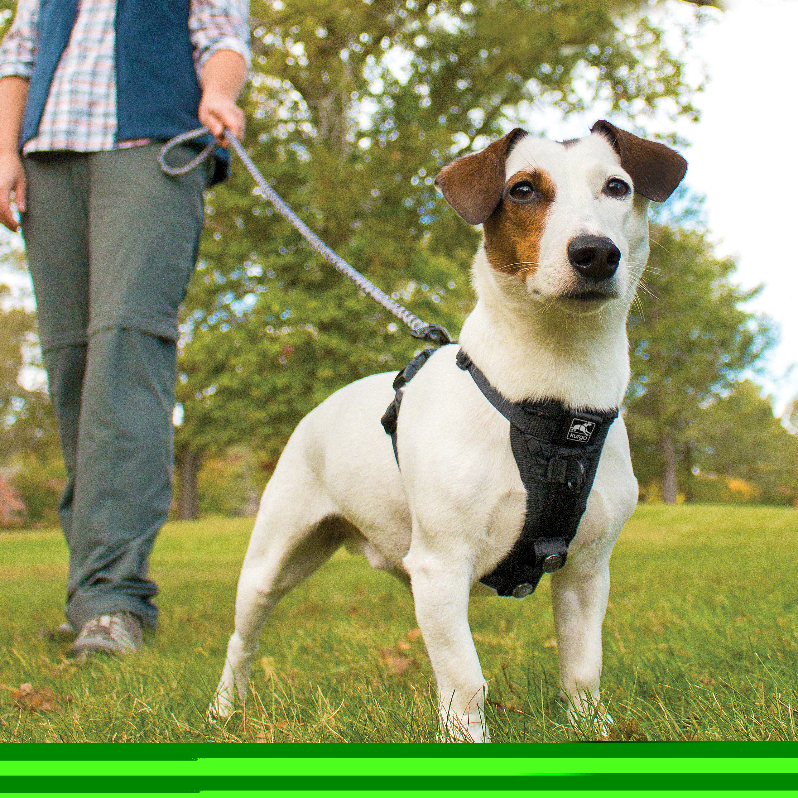 Kurgo Hundegeschirre Kurgo Tru-Fit Smart Hundegeschirr S