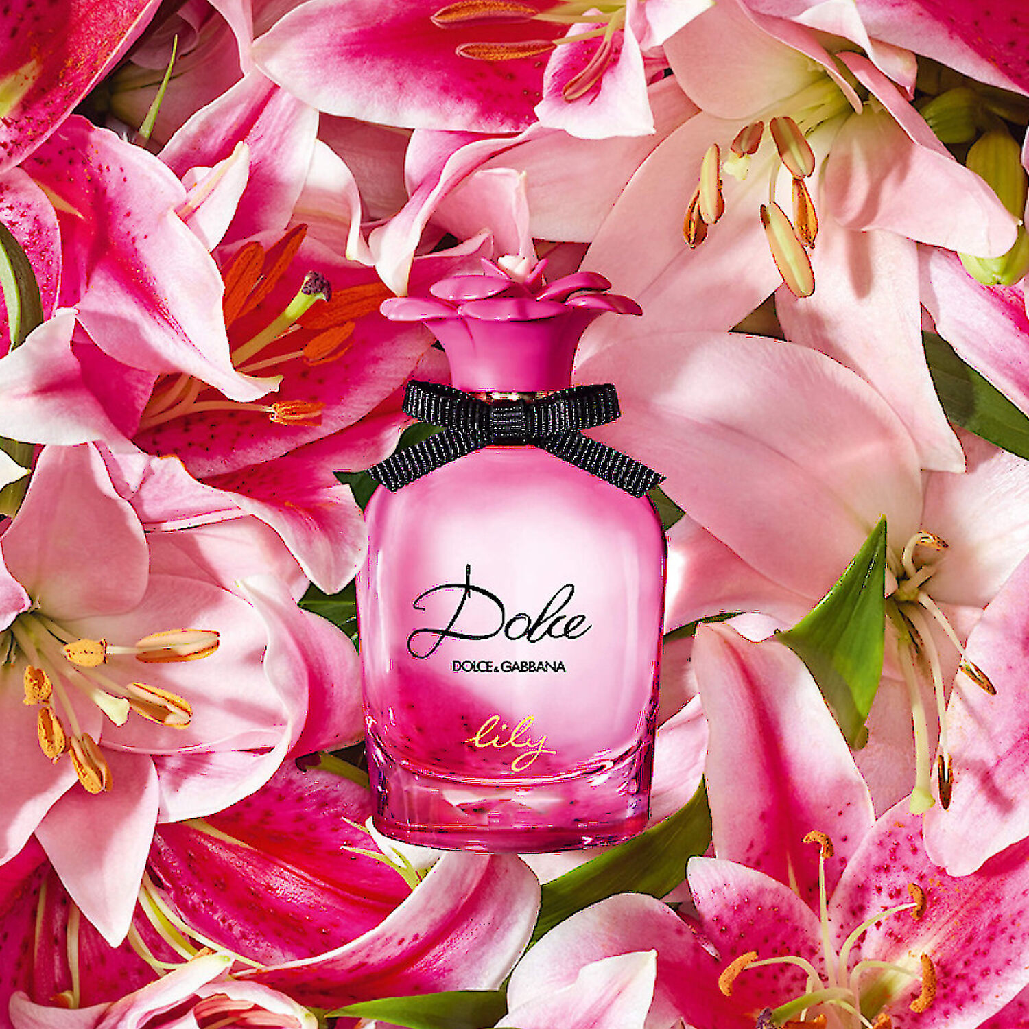 Dolce & Gabbana Dolce Lily Eau de Toilette
