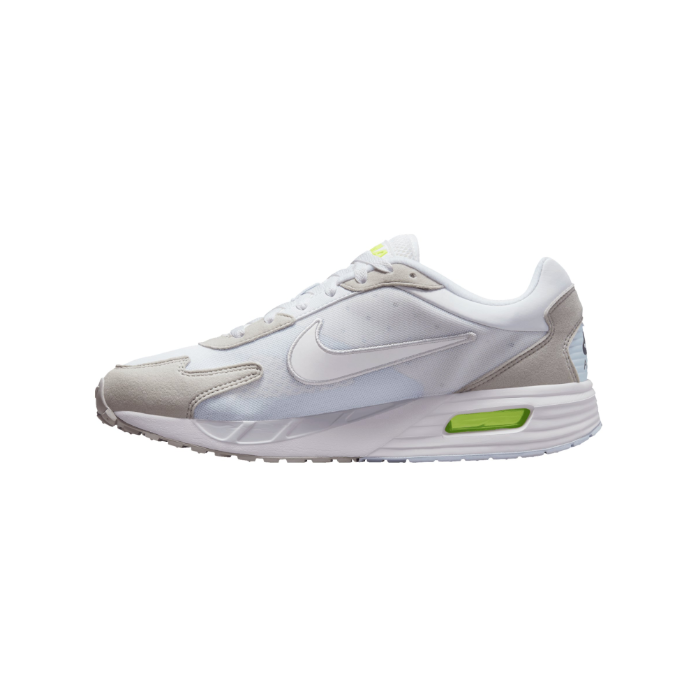 Nike Air Max Solo DX3666-003 / grau