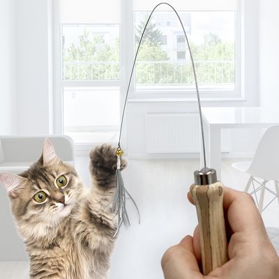 Kater Kasimir Katzenangel mit Bändern