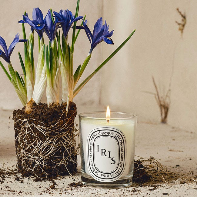 Iris - Bougie modèle classique