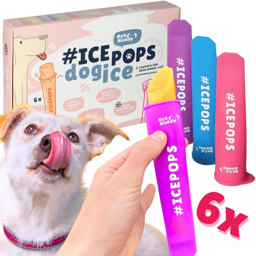 BeG Buddy Snacks BeG Buddy Eis am Stiel 6x