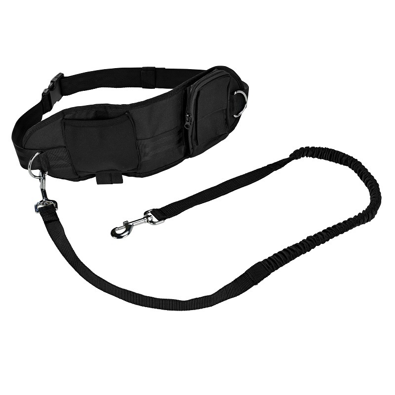 FIT+FUN Hundeleinen FIT+FUN Jogginggürtel + Leine