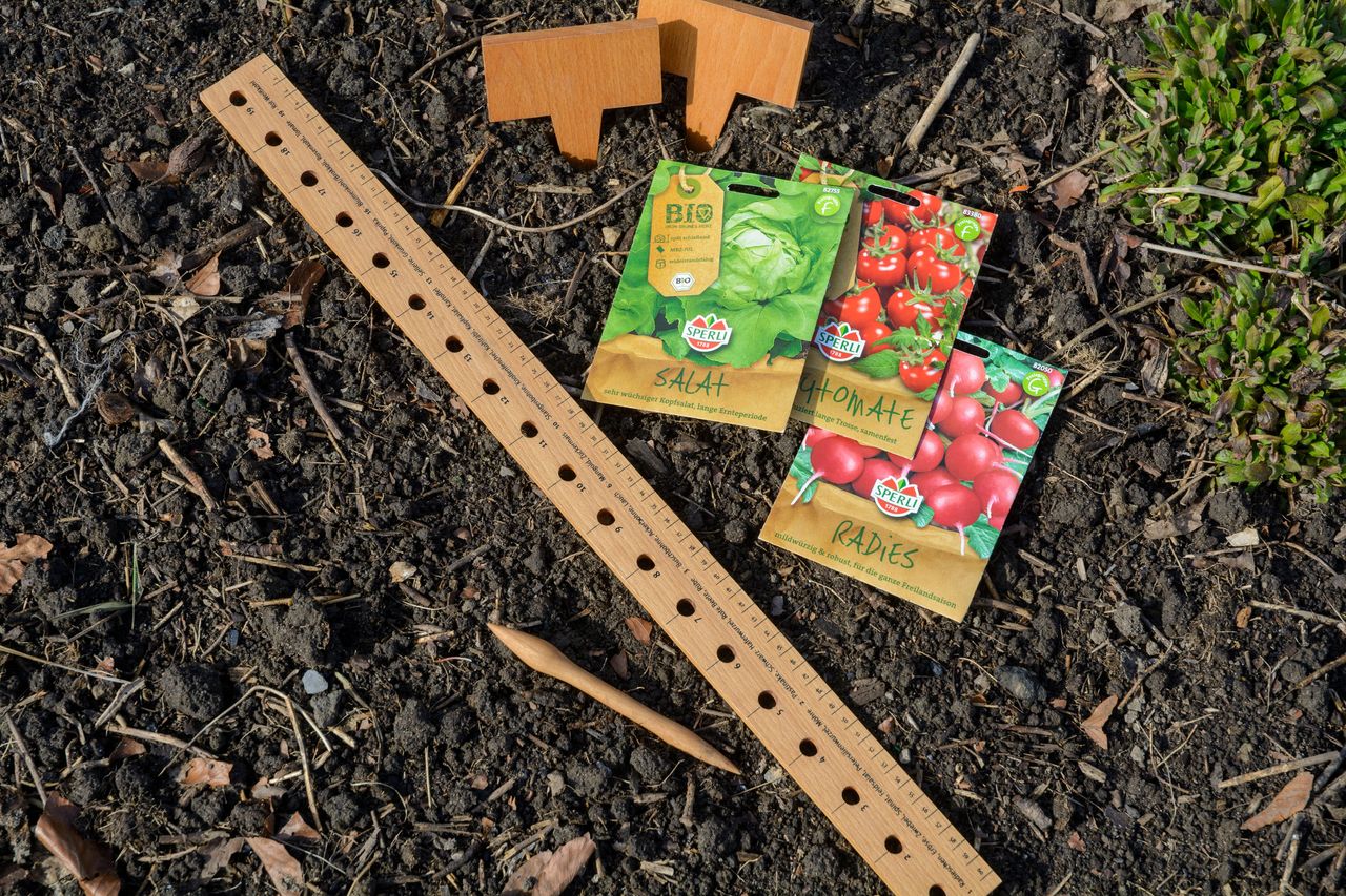 dobar Pflanzen-StarterSet aus Buchenholz