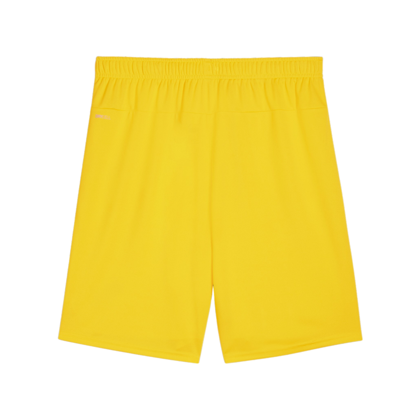 PUMA teamGOAL Short Gelb Schwarz F07