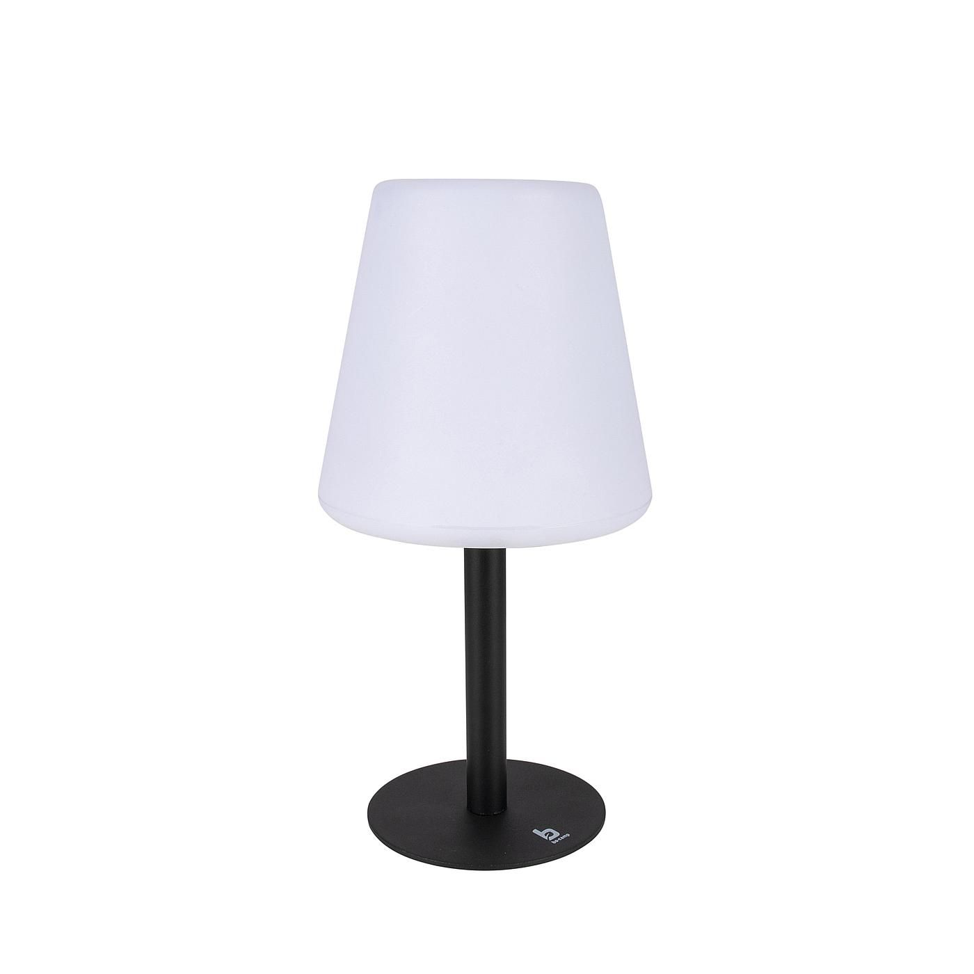 Bo-Camp Industrial Tilden Tischlampe