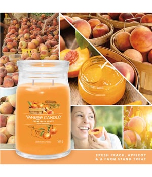 Yankee Candle Farm Fresh Peach Duftkerze-368 g