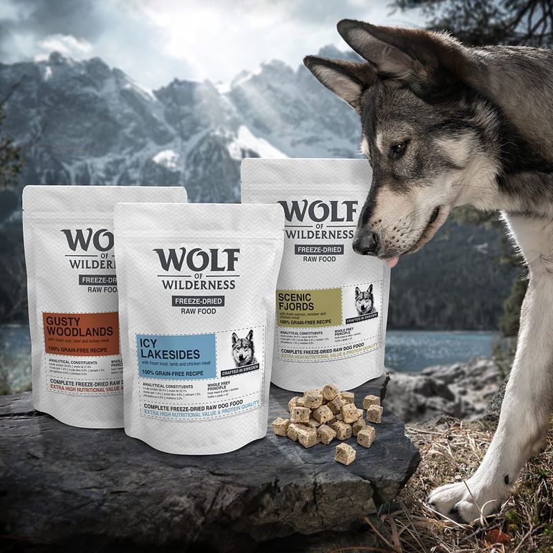 Wolf of Wilderness Gusty Woodlands Rind, Kabeljau & Truthahn