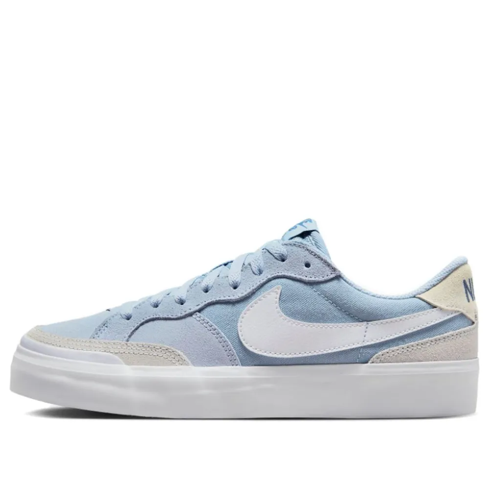 Nike Zoom SB Pogo Plus DV5469-400 / blau