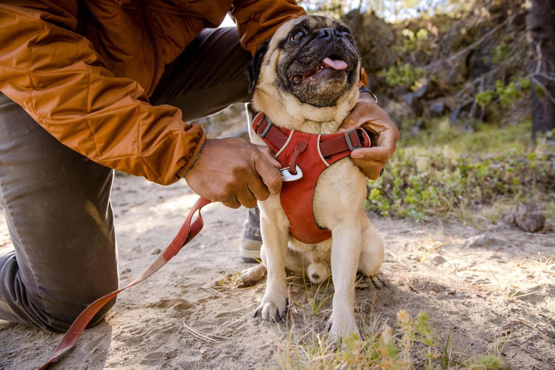 Ruffwear Hundeleinen Ruffwear Front Range™ Leine rubin