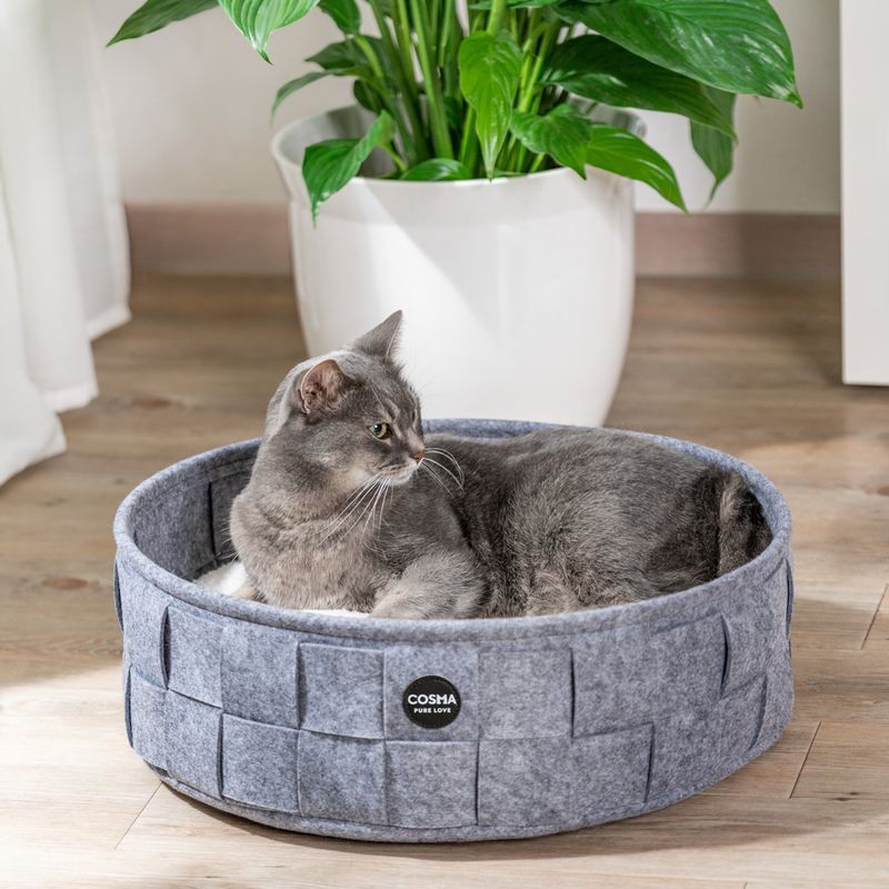 Cosma Kuschelbett zu TOP-Preisen