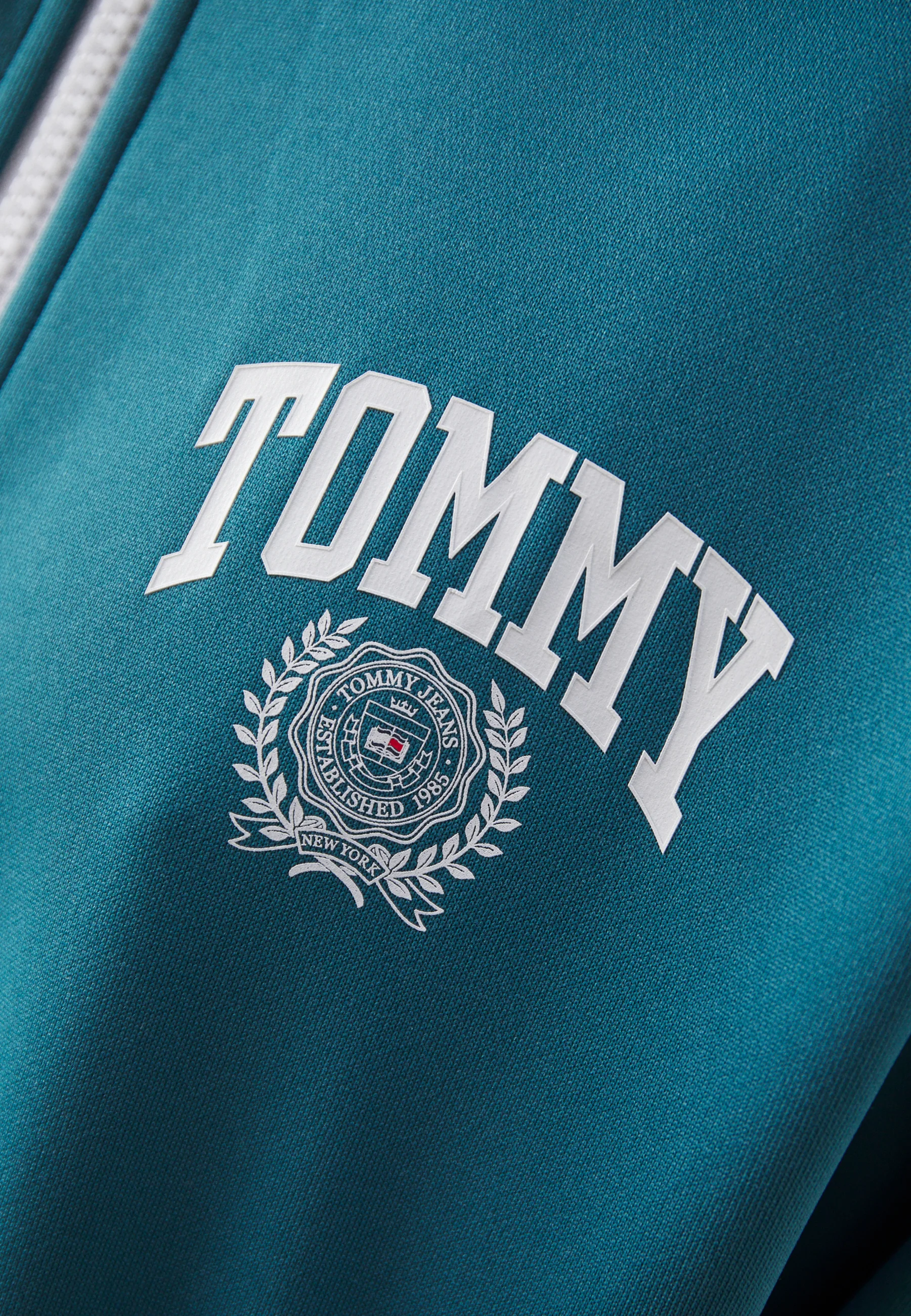 Tommy Jeans VARSITY SPORT TRACK JACKET - Sudadera con cremallera