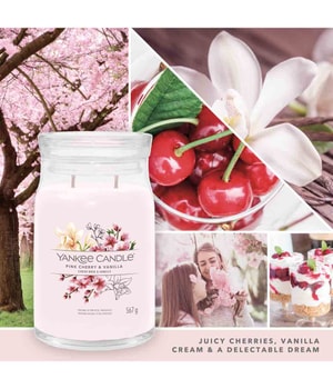 Yankee Candle Pink Cherry Vanilla Duftkerze-368 g