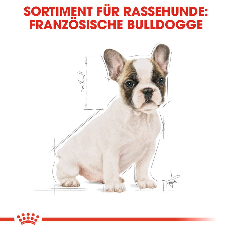 ROYAL CANIN Hundetrockenfutter ROYAL CANIN Französische Bulldogge Puppy 10 kg
