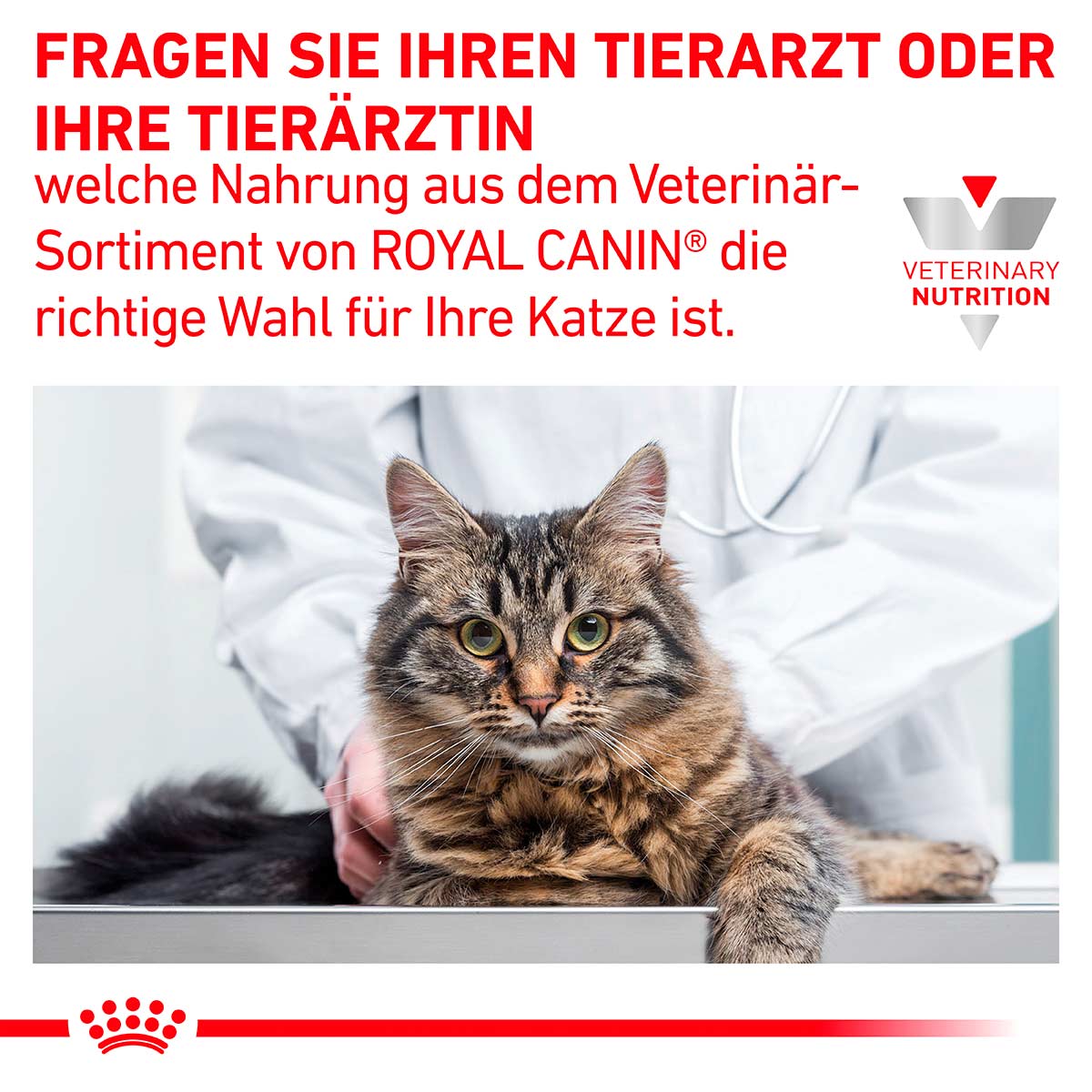 ROYAL CANIN Veterinary HEPATIC Trockenfutter für Katzen