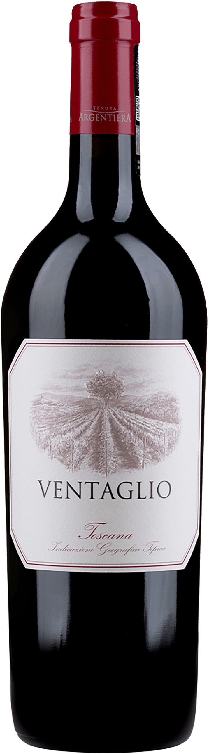 Tenuta Argentiera: Ventaglio 2018