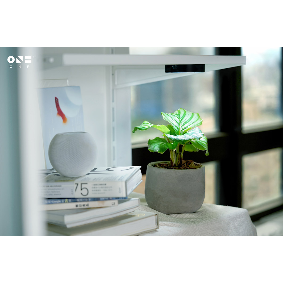 ONF Mist-O LED günstig kaufen