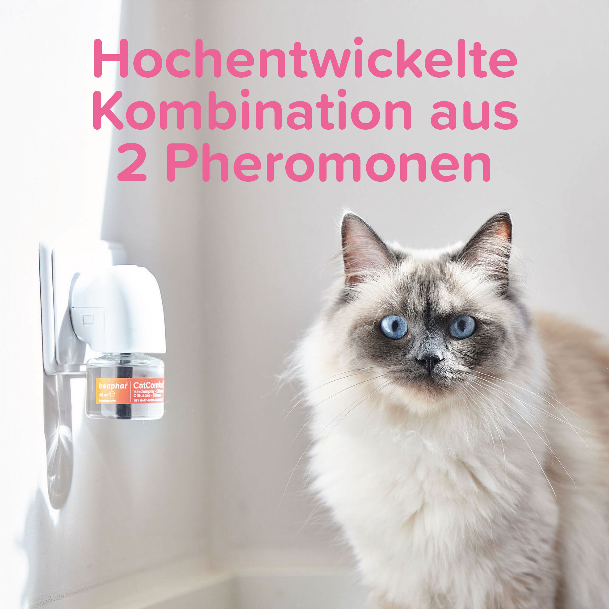 Beaphar Beruhigungsmittel Beaphar CatComfort Excellence Starter-Kit 48ml