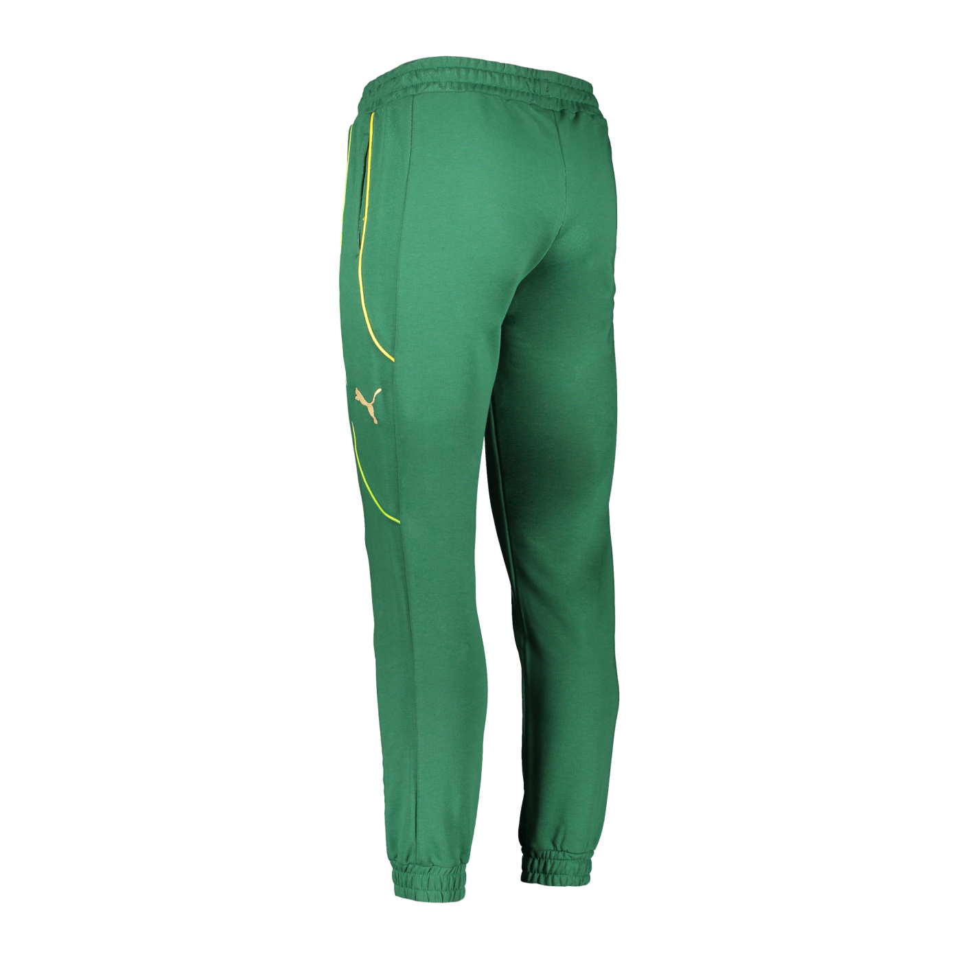 PUMA KING Pele Jogginghose Grün F12