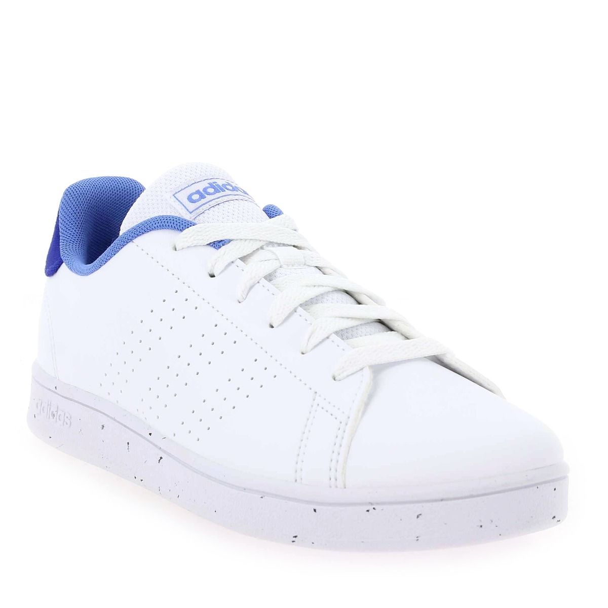 Adidas Originals  ADVANTAGE - Blanc Bleu