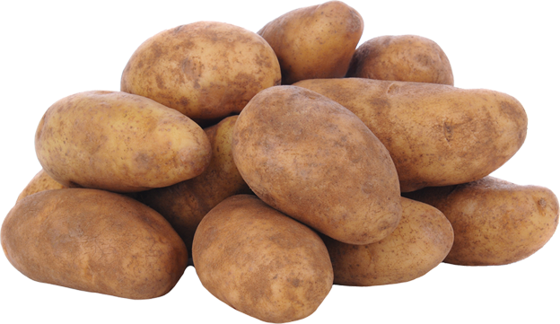 Speisekartoffeln Drillinge
