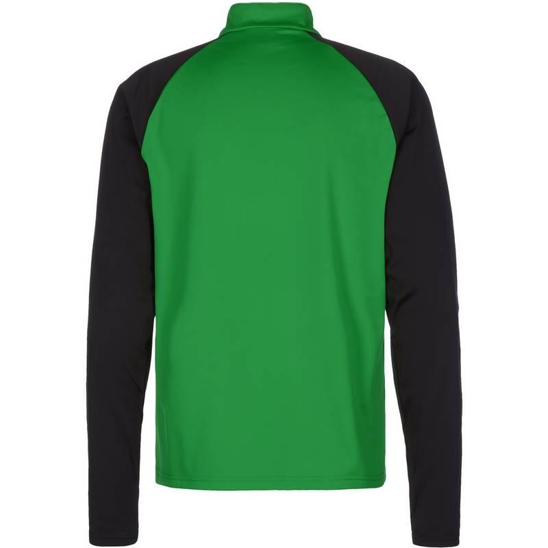 PUMA TeamLIGA 1/4 Zip Funktionssweatshirt Herren