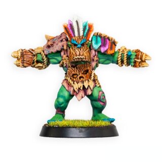 Champi-Orcs Shaman (1)