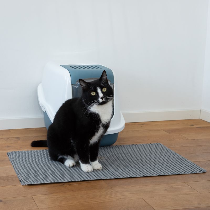 Katzentoilettenvorleger Trap-it! zu TOP-Preisen