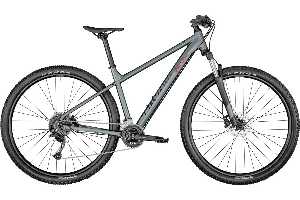 Bergamont Revox 4 grey - 2021 - 29 Zoll - Diamant