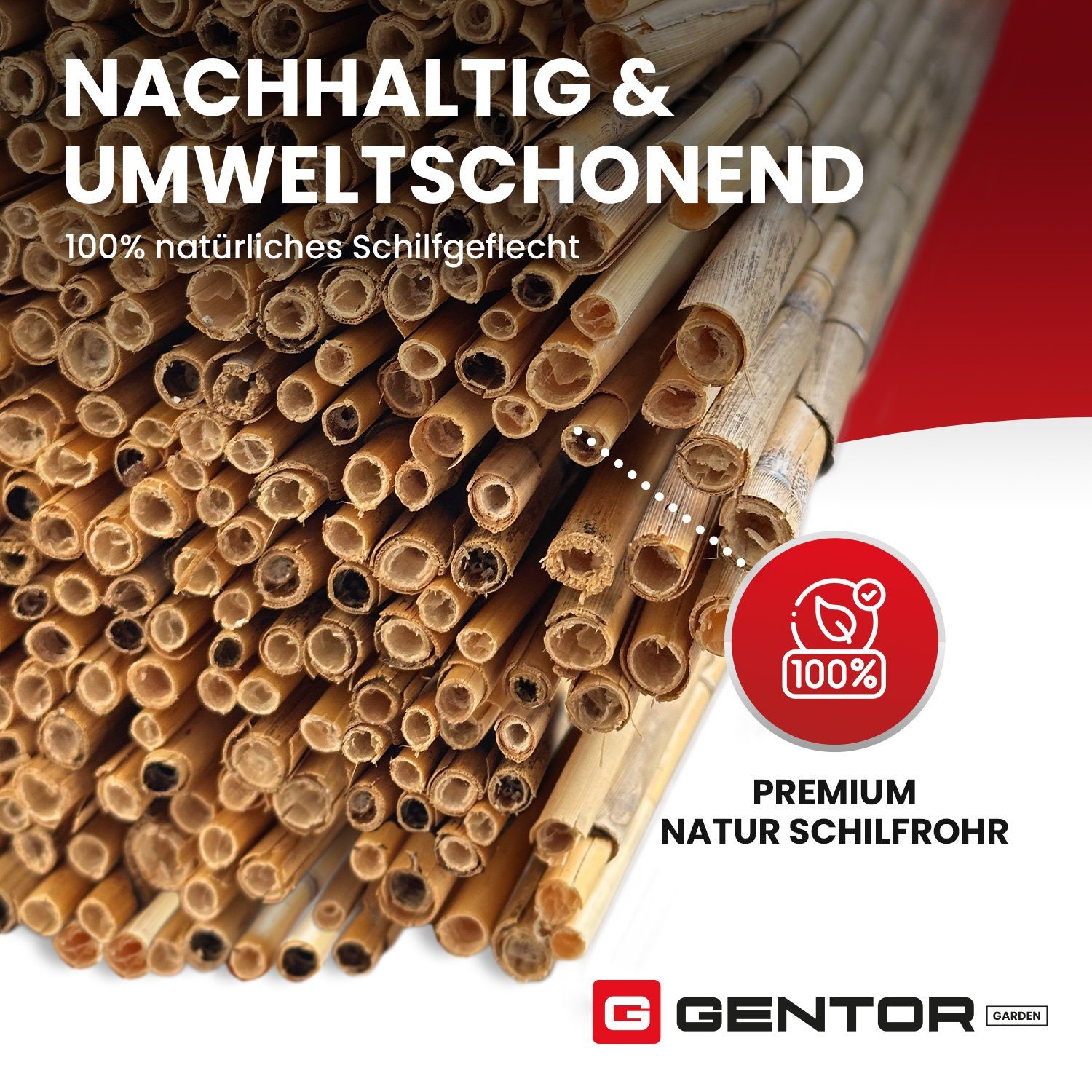 GENTOR Sichtschutzzaunmatten Schilfmatte Schilfrohrmatte Sichtschutzmatte Windschutz Sichtschutz, (Packung), Langlebig