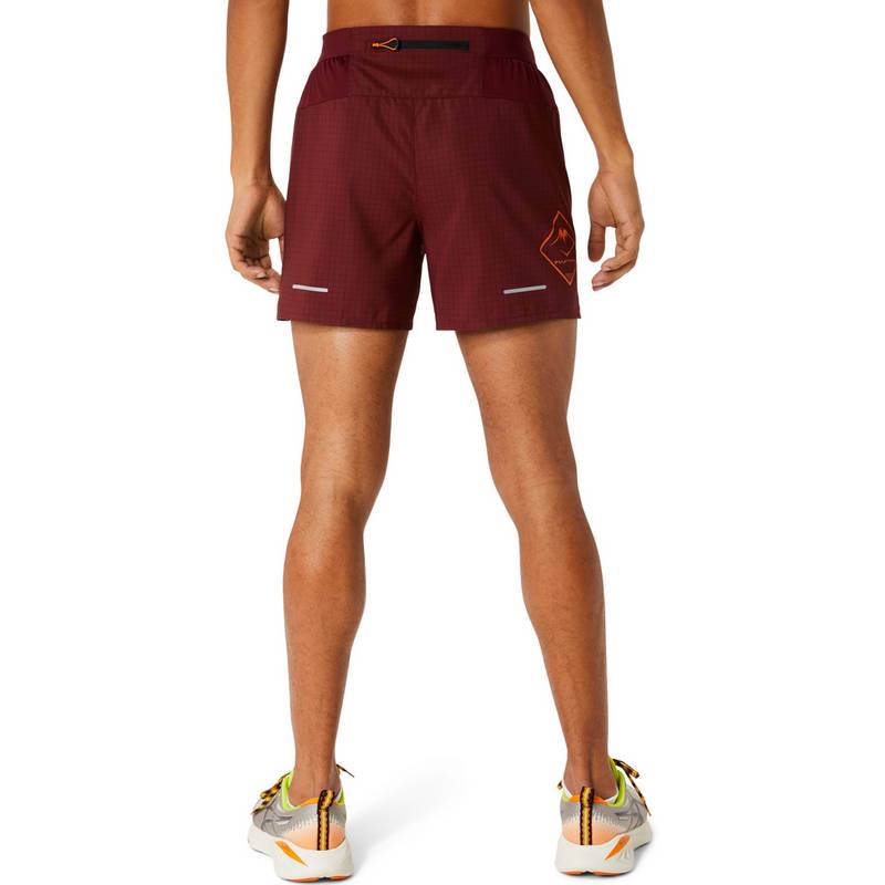 ASICS FUJITRAIL Funktionsshorts Herren