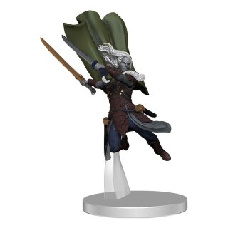 Magic The Gathering Miniaturen vorbemalt Adventures in the Forgotten Realms Companions of the Hall (EN)
