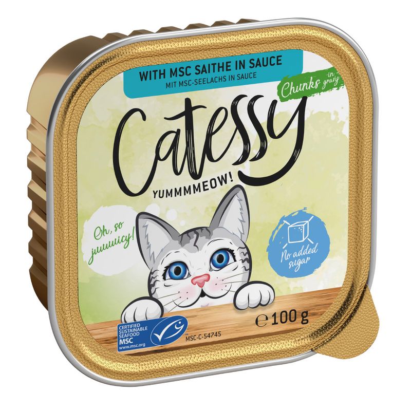 Sparpaket Mixpack Catessy Schälchen 32 x 100 g