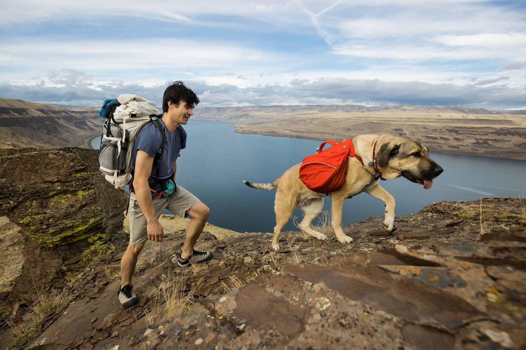 Ruffwear Tragetaschen Ruffwear Palisades™ Hunderucksack M