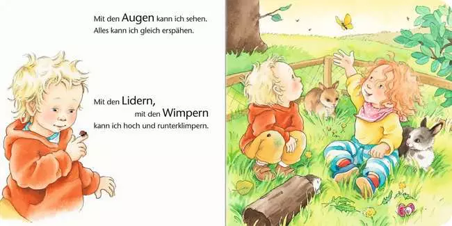 ministeps: Augen, Bauch und Hände