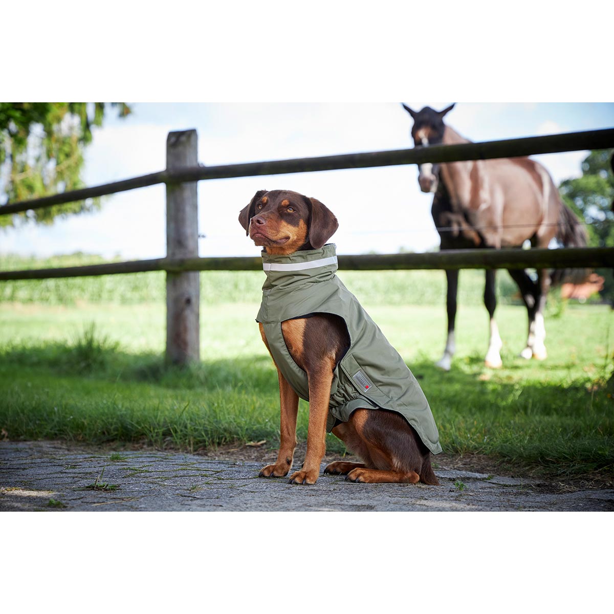 Wolters Outdoorjacke Modern Classic olive kaufen bei ZooRoyal
