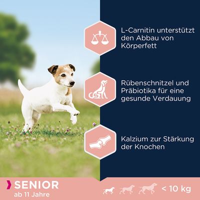 Eukanuba Caring Senior Small Breed Huhn