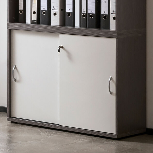 Serie 4000 Aktenschrank 4700, esche grau/weiß matt