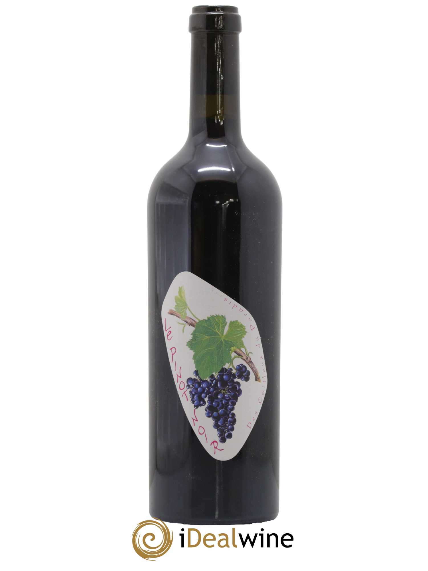 Vin de France Le Pinot Noir des Cailloux du Paradis 2019 - Lot de 1 Bouteille