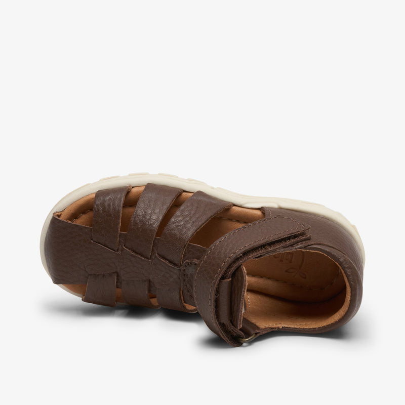 bagge c brown - Braun