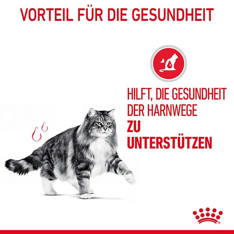 Royal Canin Urinary Care zu TOP-Preisen