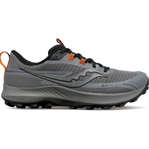 HERREN LAUFSCHUHE PEREGRINE 13 GTX
