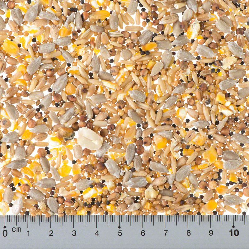 Lillebro Schalenfrei-Mix: Wildvogelfutter + Erdnusskerne + Sonnenblumenkerne % bei bitiba.de